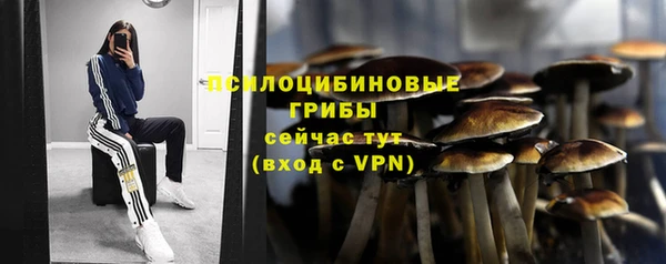 ALPHA-PVP Алексин