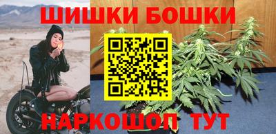 дмт Новокубанск