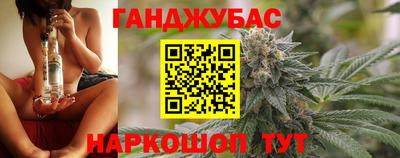 дмт Новокубанск